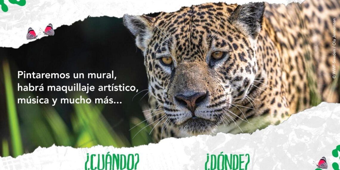 Vida Silvestre invita a celebrar el Día Internacional y Provincial del Yaguareté en Iguazú 