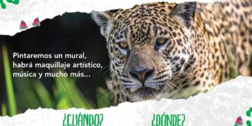 Vida Silvestre invita a celebrar el Día Internacional y Provincial del Yaguareté en Iguazú 