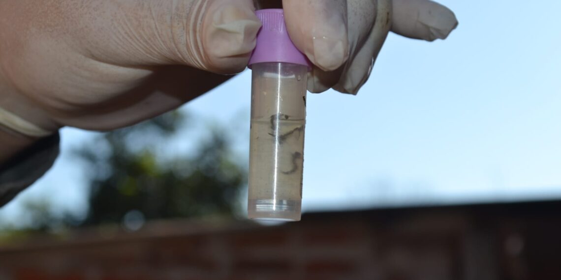 Dengue: visitas domiciliarias para concientizar y detectar casos febriles