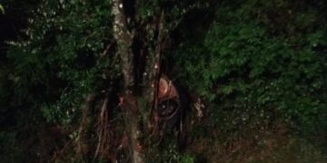 Un hombre falleció tras impactar su auto contra un árbol