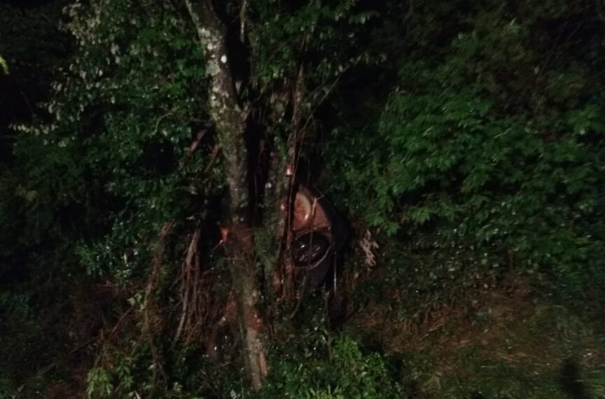Un hombre falleció tras impactar su auto contra un árbol