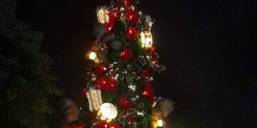 Capioví encendió las luces de su árbol de Navidad