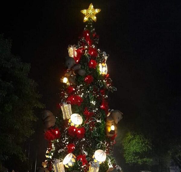 Capioví encendió las luces de su árbol de Navidad