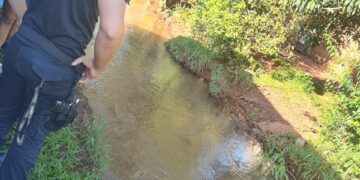 Policías reanimaron a una nena que se había ahogado en un arroyo de Andresito