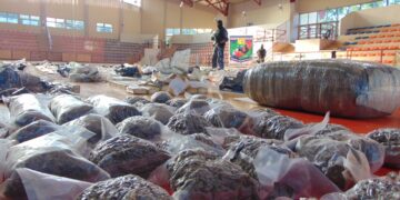 La Policía de Misiones dio otro mega golpe al narcotráfico secuestrando más de 4 toneladas de marihuana