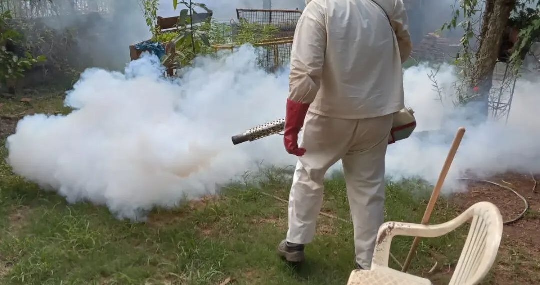 El municipio intensifica medidas para combatir el dengue