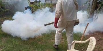 El municipio intensifica medidas para combatir el dengue