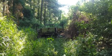 Wanda: Hallaron restos óseos junto a una camioneta totalmente calcinada