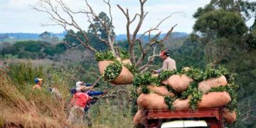 El Inym convocó a sesión de precios para el 15 de febrero