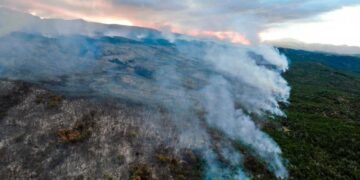 El incendio forestal en el Parque Nacional Los Alerces ya arrasó 577 hectáreas