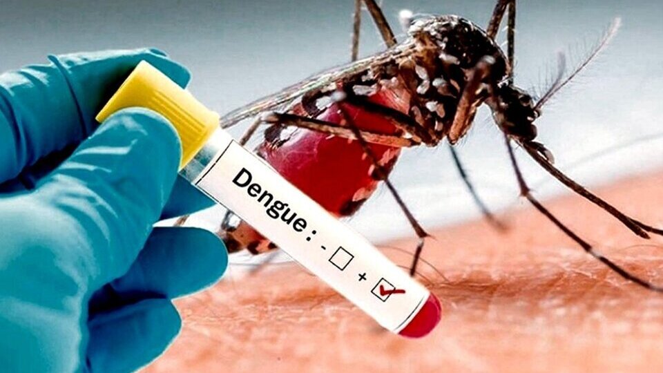 Misiones inicia la vacunación gratuita contra el dengue