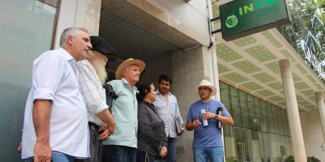 Asociaciones yerbateras presentaron un amparo contra el DNU que desregula la actividad
