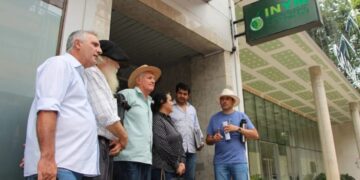 Asociaciones yerbateras presentaron un amparo contra el DNU que desregula la actividad