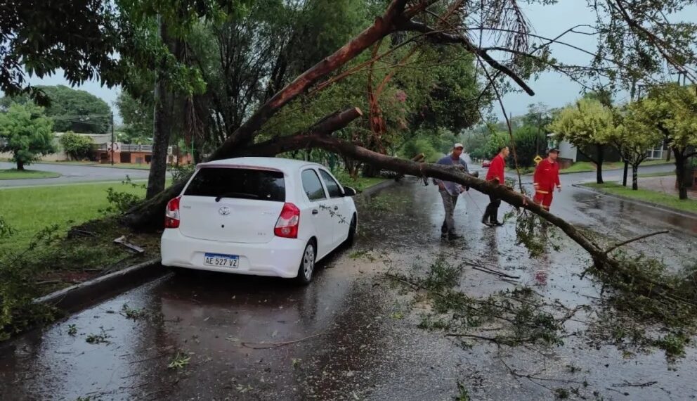 Temporal causó serios daños en varios municipios con caída de árboles y postes