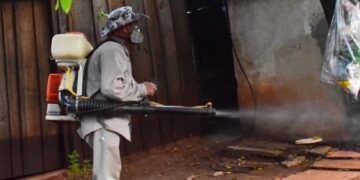 Continúan los operativos para evitar la proliferación del mosquito transmisor del dengue