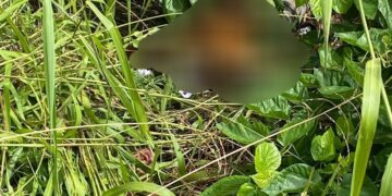 Hallaron el cuerpo de un hombre en un terreno baldío y la Policía investiga su deceso