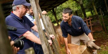 Passalacqua encabezó la entrega de ejemplares bovinos y ovinos para cooperativas lecheras y escuelas agrotécnica