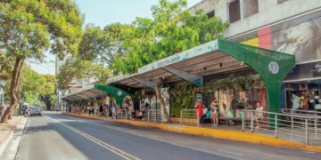 Se realizó la apertura de sobres en el marco de la licitación pública para la concesión de líneas de transporte urbano