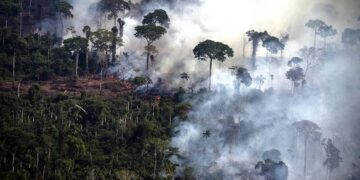 Los incendios en el Amazonas generaron un récord de emisiones de gases en Sudamérica