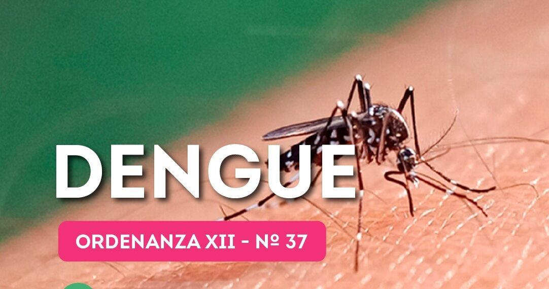 Recuerdan responsabilidad a propietarios, inquilinos y establecimientos en la prevención del dengue