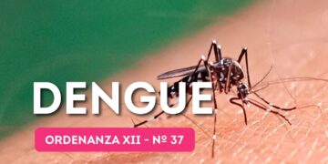 Recuerdan responsabilidad a propietarios, inquilinos y establecimientos en la prevención del dengue