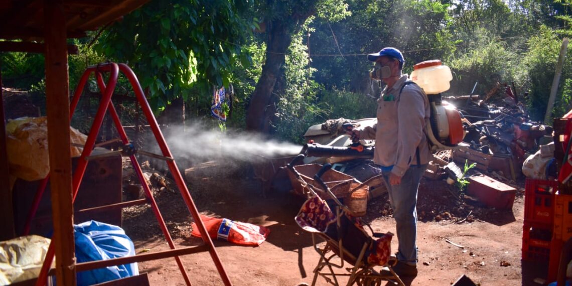 Continúan los operativos de lucha contra el dengue en distintos barrios de Posadas