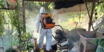 Continúan las acciones de detección y prevención del dengue en Misiones