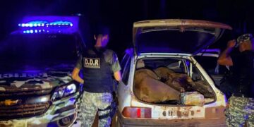 Detuvieron al presunto cabecilla de una banda dedicada al robo de ganado