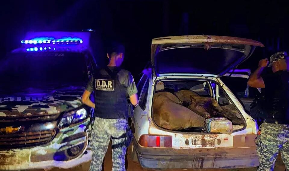 Detuvieron al presunto cabecilla de una banda dedicada al robo de ganado