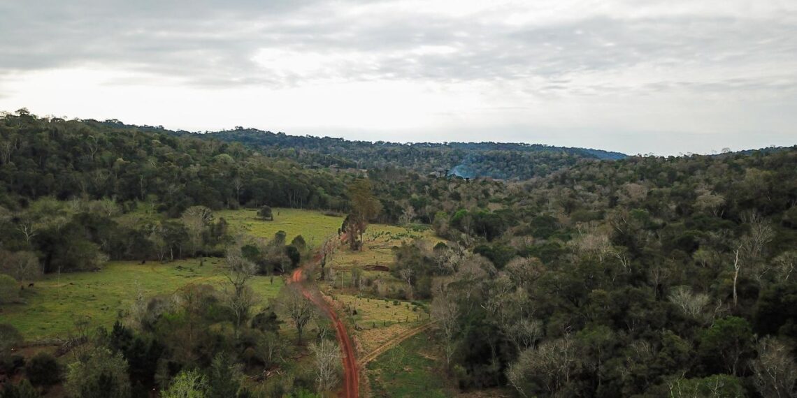 Vida Silvestre donó 28 hectáreas para incorporarlas al Parque Provincial Guardaparque Horacio Foerster