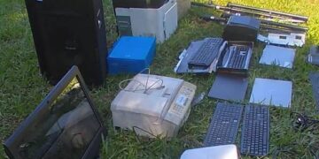 Sustrajeron plantas medicinales genéticamente modificadas y elementos electrónicos: fueron detenidos