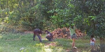 Hallaron restos óseos calcinados en Puerto Esperanza
