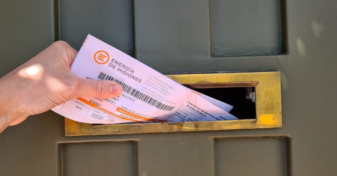 Passalacqua anunció que todas las categorías de usuarios podrán pagar la luz en cuotas