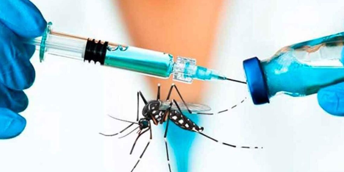 Dengue: los ministros de Salud del país evaluarán la incorporación de la vacuna recién para 2025
