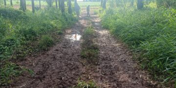 Dos hombres fueron baleados en Comandante Andresito: uno falleció