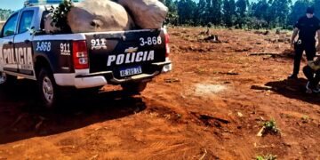 Rápida acción policial impidió el robo de materia prima para la producción de yerba mate