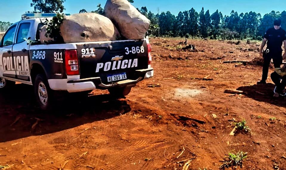 Rápida acción policial impidió el robo de materia prima para la producción de yerba mate