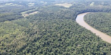 Día Internacional de la Tierra: Misiones continúa con monitoreos y controles para conservar nuestros bosques nativos