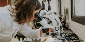 Misiones participará del Festival Federal de Ciencia y Tecnología
