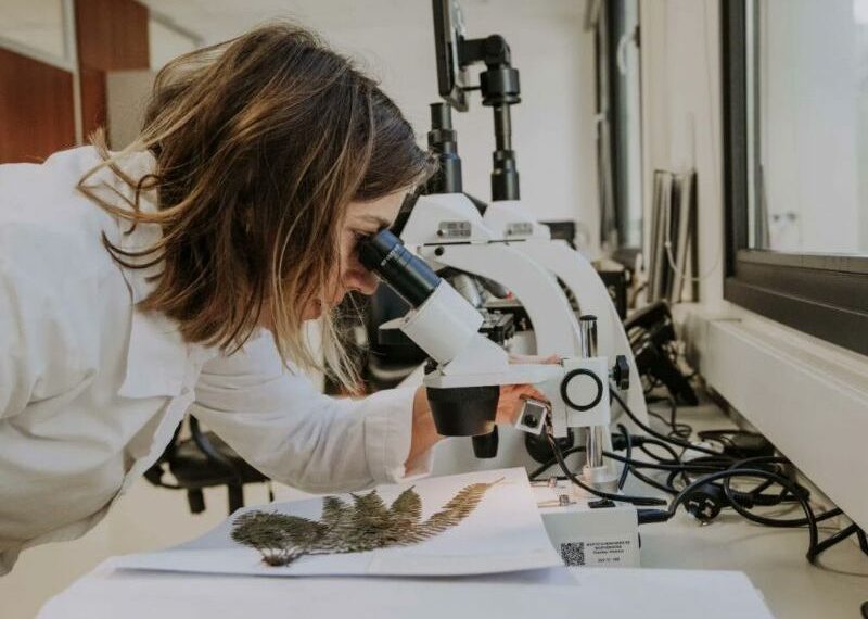 Misiones participará del Festival Federal de Ciencia y Tecnología