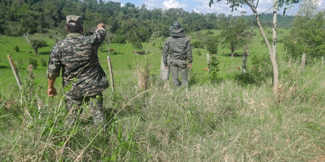 Operativo “Montaraz”: Se detectaron aguantaderos de cazadores furtivos, trampas y redes de pesca