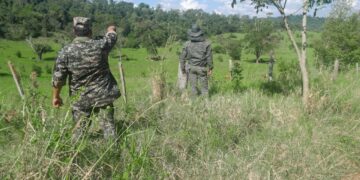 Operativo “Montaraz”: Se detectaron aguantaderos de cazadores furtivos, trampas y redes de pesca