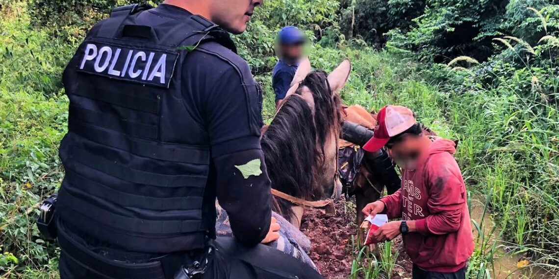 Rescataron a pescador que se había perdido en la selva