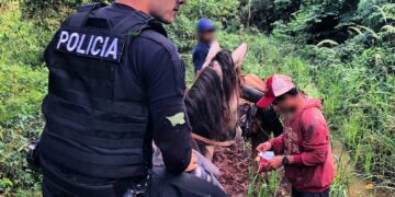 Rescataron a pescador que se había perdido en la selva
