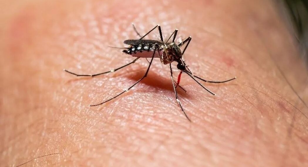 Un hombre se desvaneció y murió en la vía pública, su hermana asegura que tenía dengue
