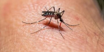 Un hombre se desvaneció y murió en la vía pública, su hermana asegura que tenía dengue