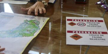 Reforzarán  señalización en rutas que atraviesan áreas protegidas para prevenir atropellamiento de animales