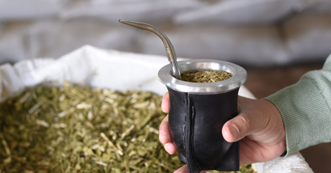 Las ventas de Yerba Mate superaron los 70 millones de kilos durante el primer trimestre