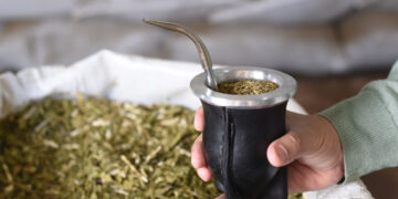 Las ventas de Yerba Mate superaron los 70 millones de kilos durante el primer trimestre