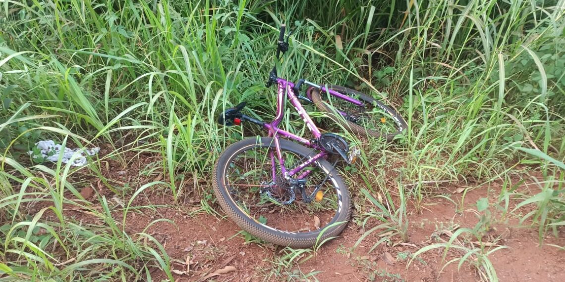Una ciclista perdió la vida en un siniestro vial en Puerto Esperanza